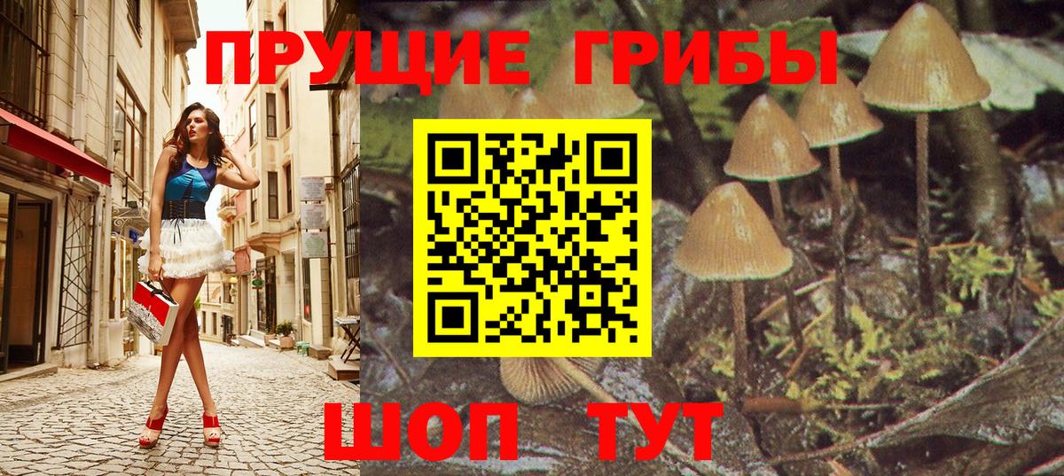 Псилоцибиновые грибы прущие грибы Алатырь