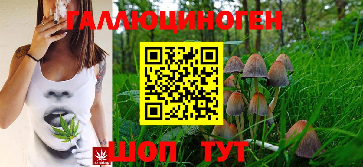 Галлюциногенные грибы GOLDEN TEACHER  Вход с VPN  Алатырь 